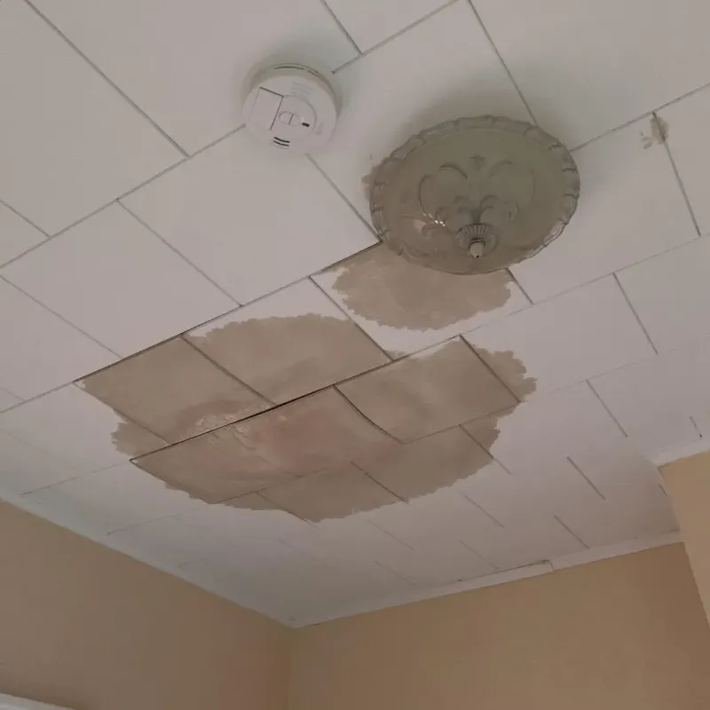 Ceiling Water Damage Repair in Walker, MN
