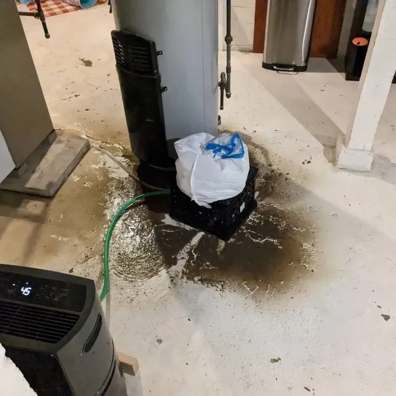 Sewage Backup Cleanup Service in Walker, MN